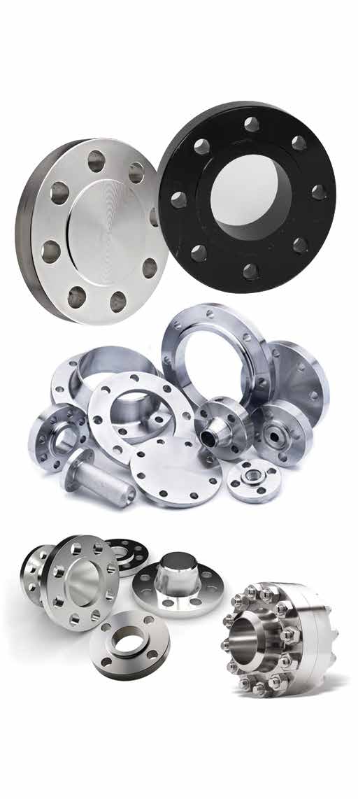 Steel Flanges — Flanges